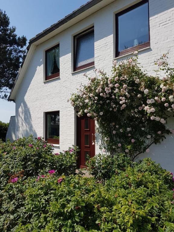 Weiße Hauswand mit roter Tür und blühenden Rosenhecken.