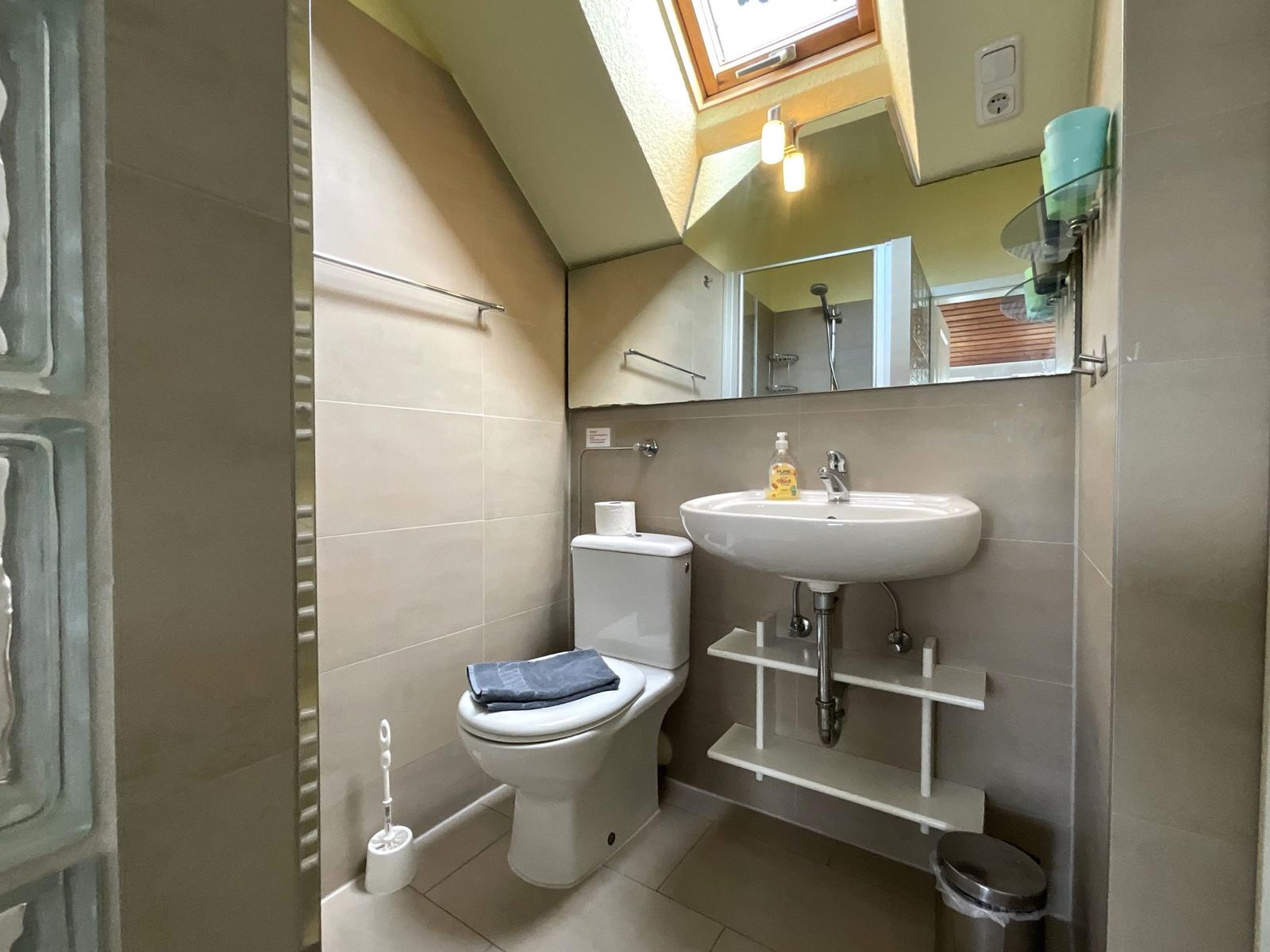 Badezimmer mit Toilette, Waschbecken und Dusche unter Dachschrägen.