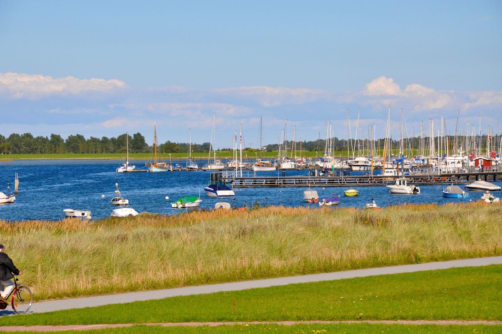Ein Fahrrad fährt entlang eines Grasstreifens zum Hafen mit vielen Booten.