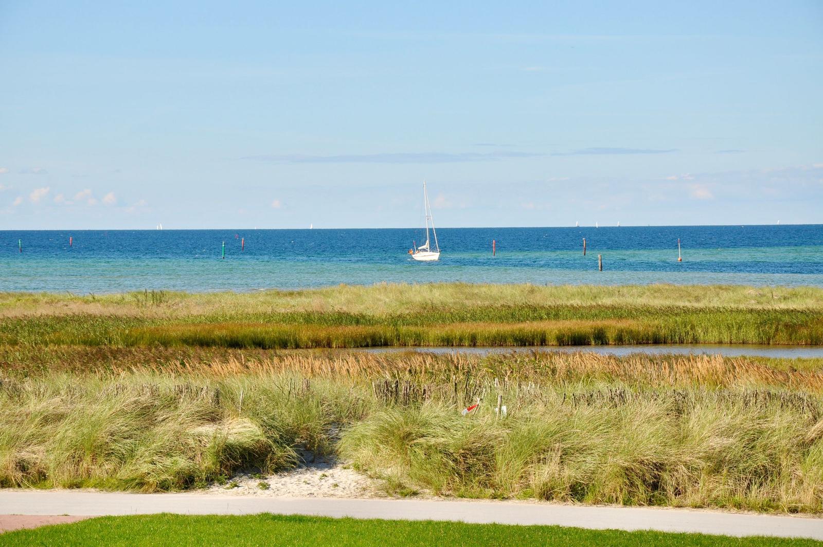 Sailboat auf dem Meer vor Strand mit Gras und Pfad.