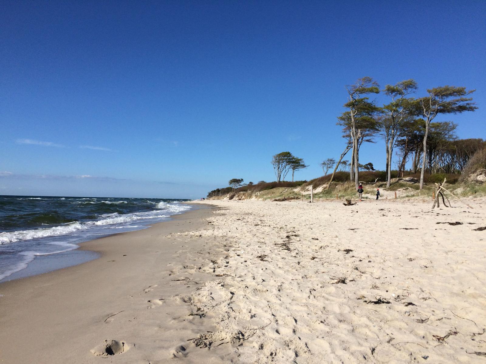 Bild-Beschreibung folgt.