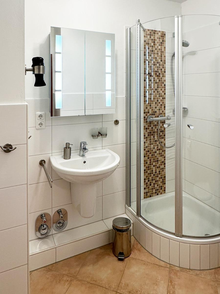 Badezimmer mit Dusche, Waschbecken und Spiegelschrank.
