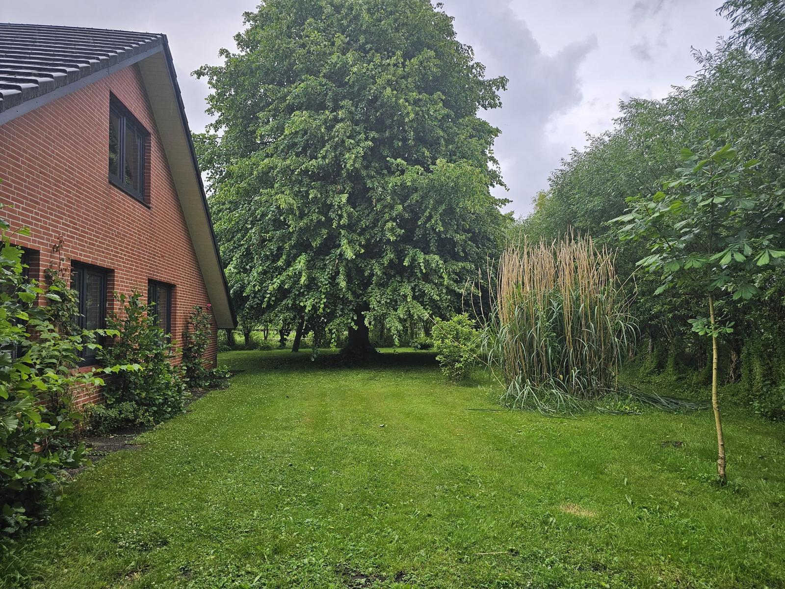 Rotes Backsteinhaus mit grünem Garten und großen Bäumen.