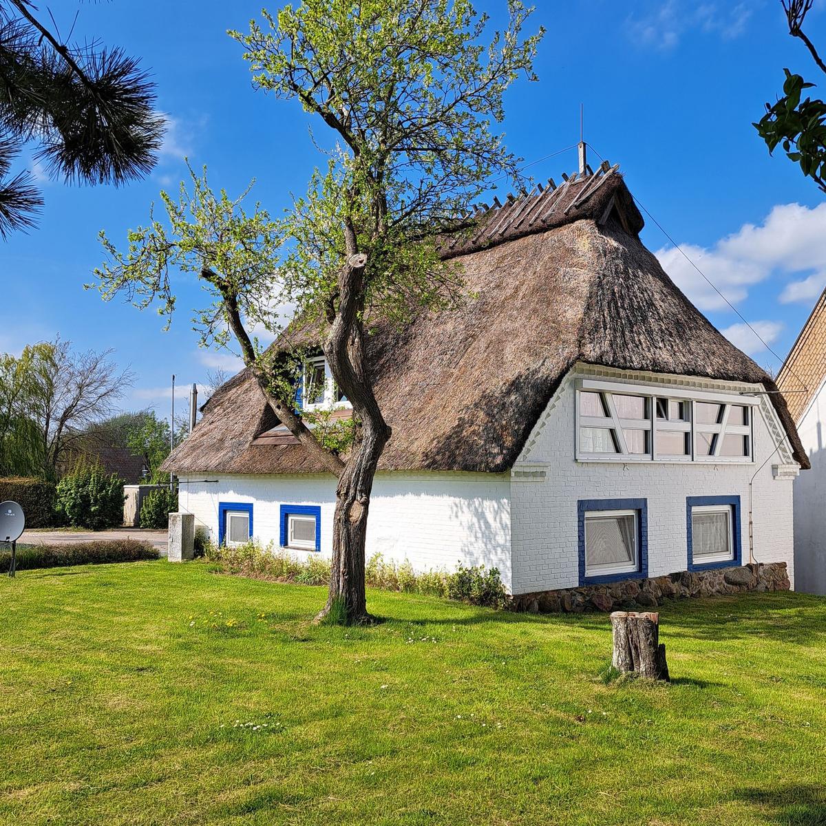House with thatched roof, white facade and blue window frames in the garden