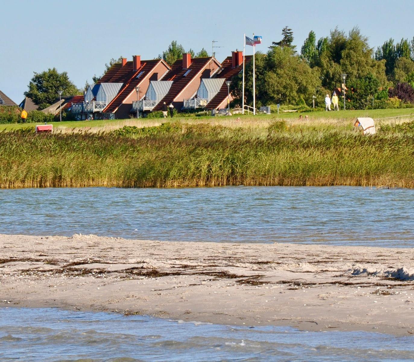 Strand mit Wasser, Grasland und Häusern im Hintergrund.