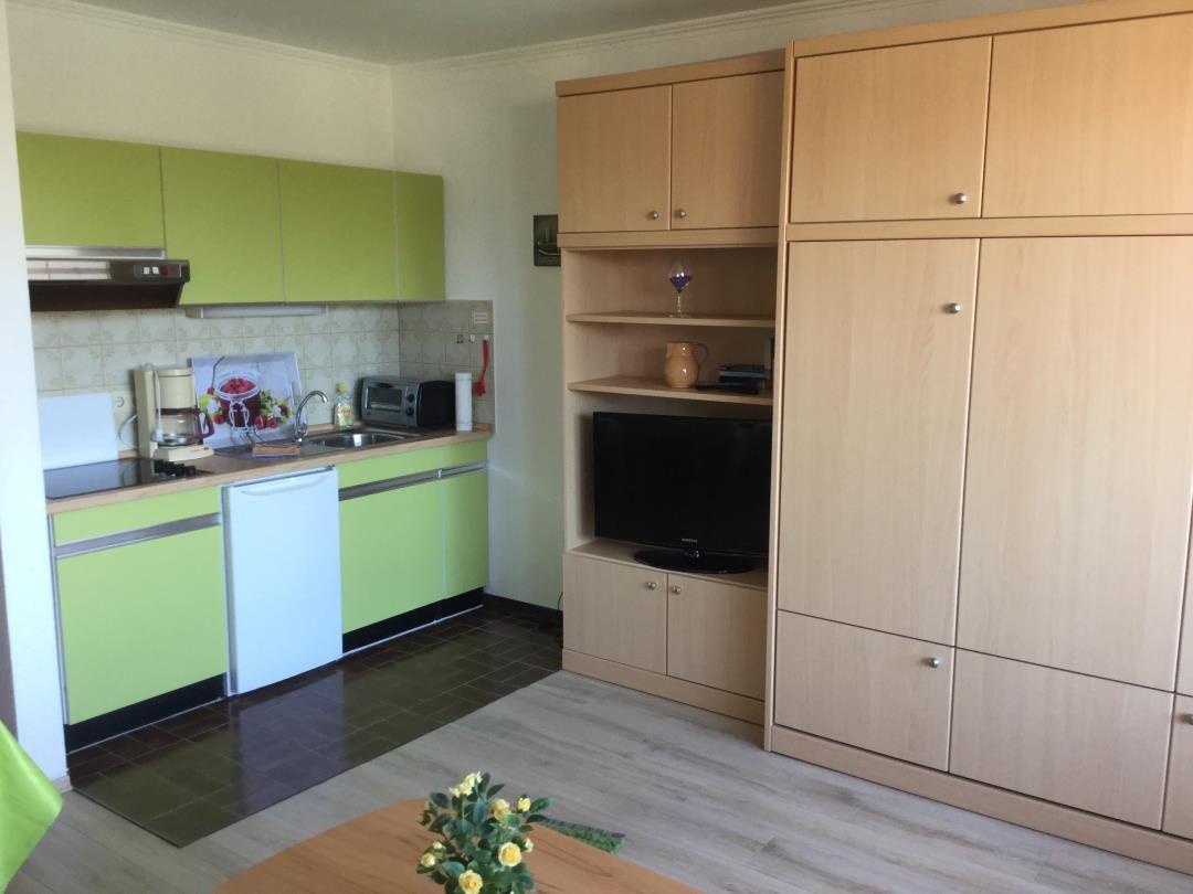 Küche mit grünen Schränken und integriertem Geschirrspüler. Wohnbereich mit Holzmöbeln und Fernseher.