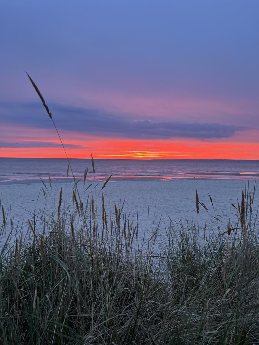 Sonnenuntergang über dem Meer mit Strandgras im Vordergrund.