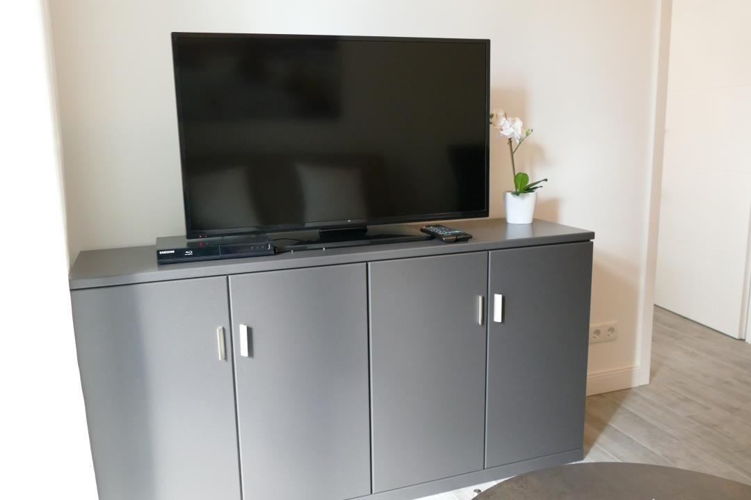 TV auf grauem Schrank mit Pflanze und Fernbedienung