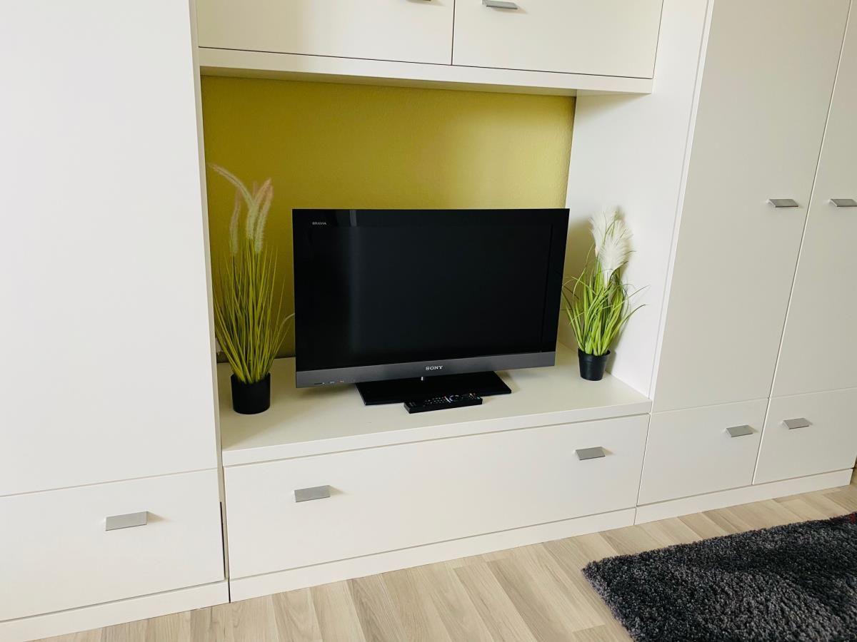 TV auf weißen Schrank mit Pflanzen und gelbem Hintergrund