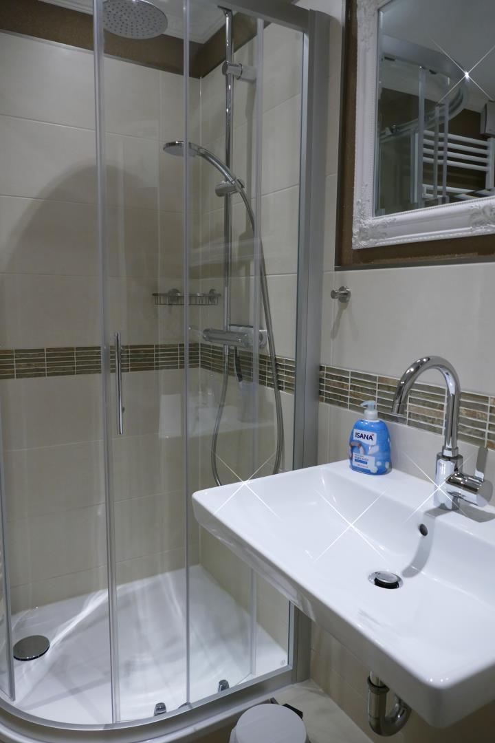 Shower cabin with shower head, sink and mirror