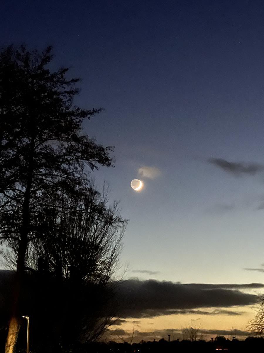 Mond über Baum und Wolken am Abendhimmel