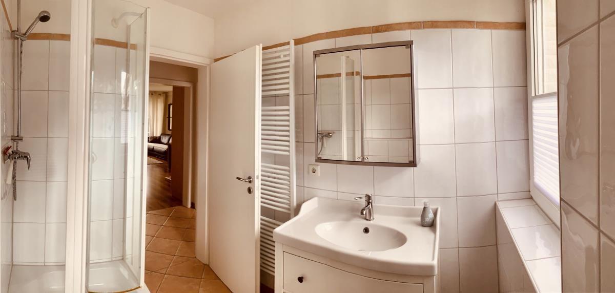 Bathroom with shower, sink, and mirror cabinet