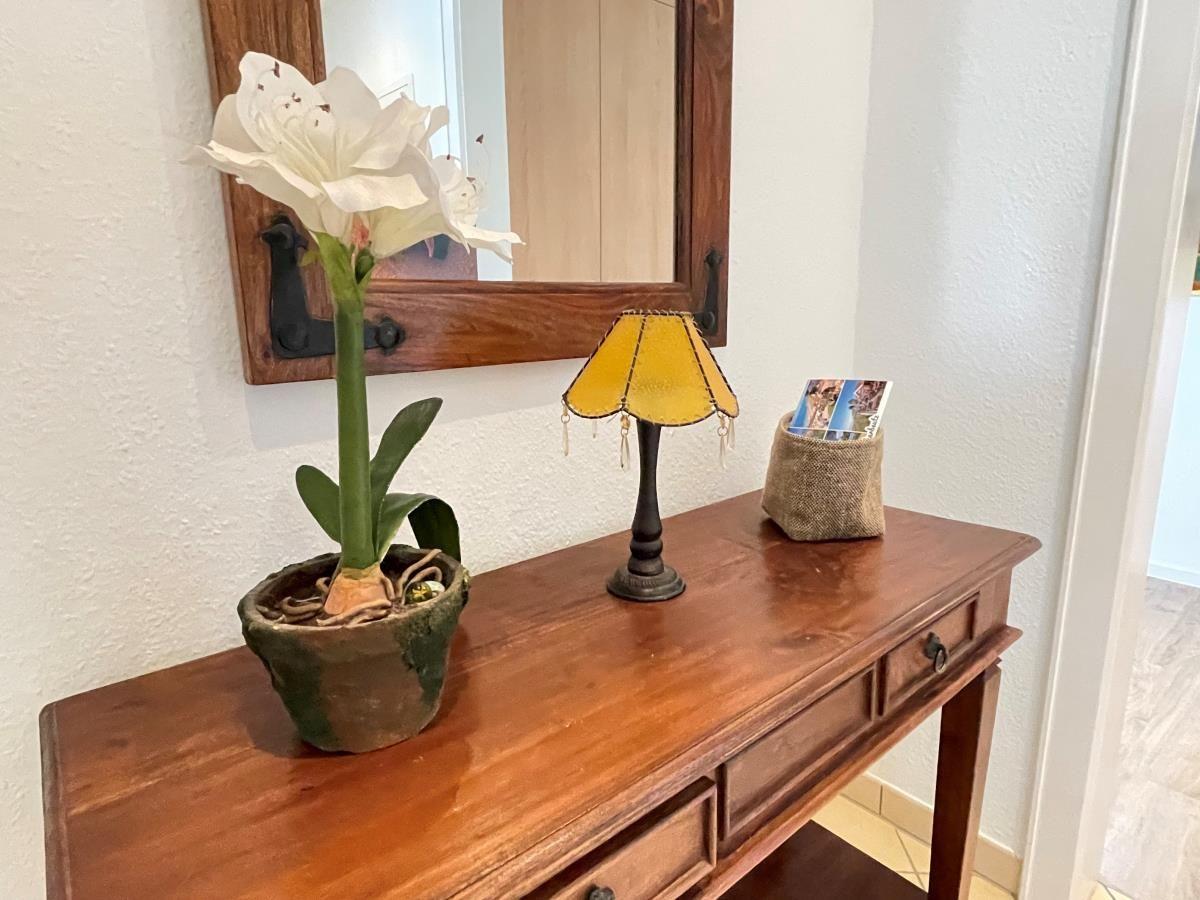 Holzkonsole mit Pflanze, Lampe und Broschüren
