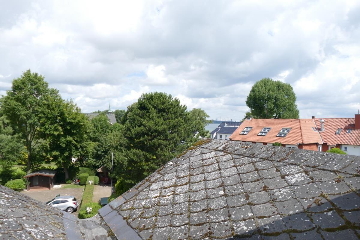 Dach mit Moos, Blick auf Häuser und Bäume unter bewölktem Himmel.