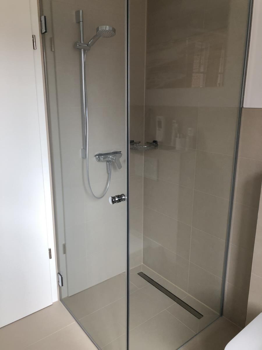 Shower with glass enclosure and handheld shower
