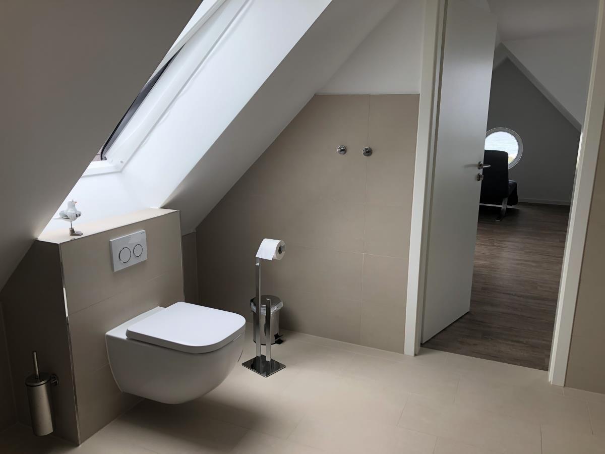 Shower and toilet under sloped ceiling with skylight