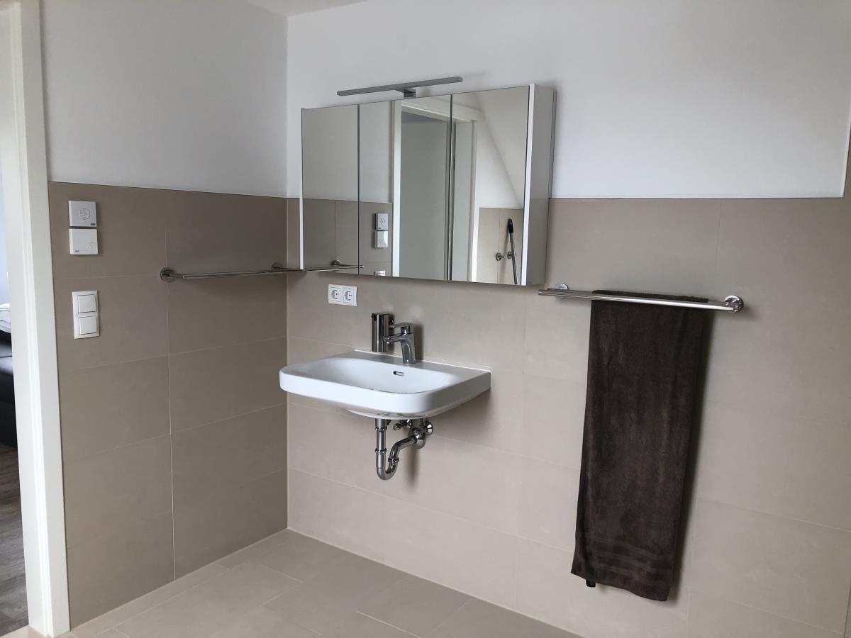 Bathroom with sink, mirror cabinet, and towel rack.