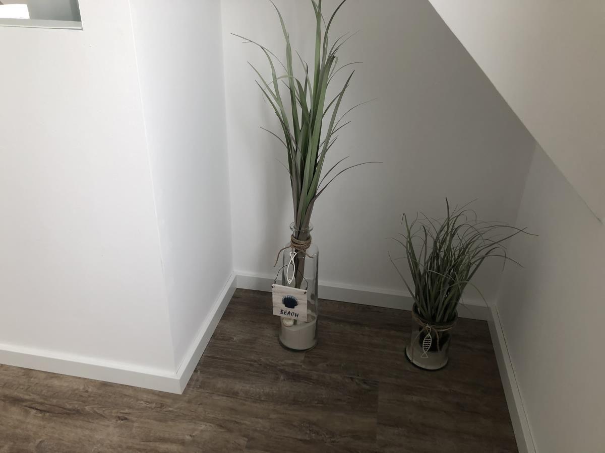 Two plants in glass containers stand in a corner with wooden floor and white walls.