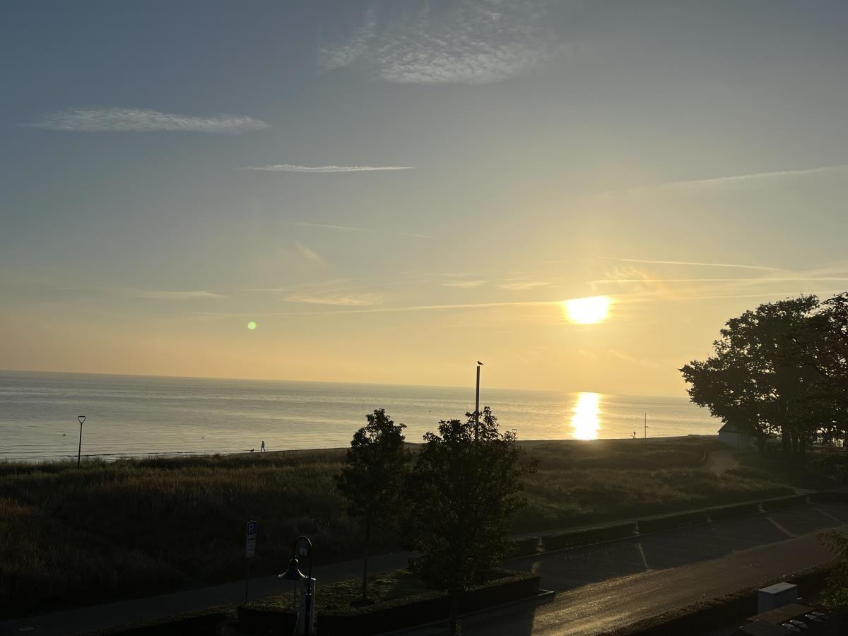 Sonnenuntergang über dem Meer mit Bäumen und Parkplatz im Vordergrund.