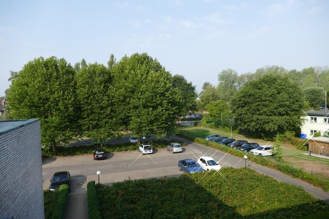 Parkplatz mit Bäumen und gepflasterten Wegen