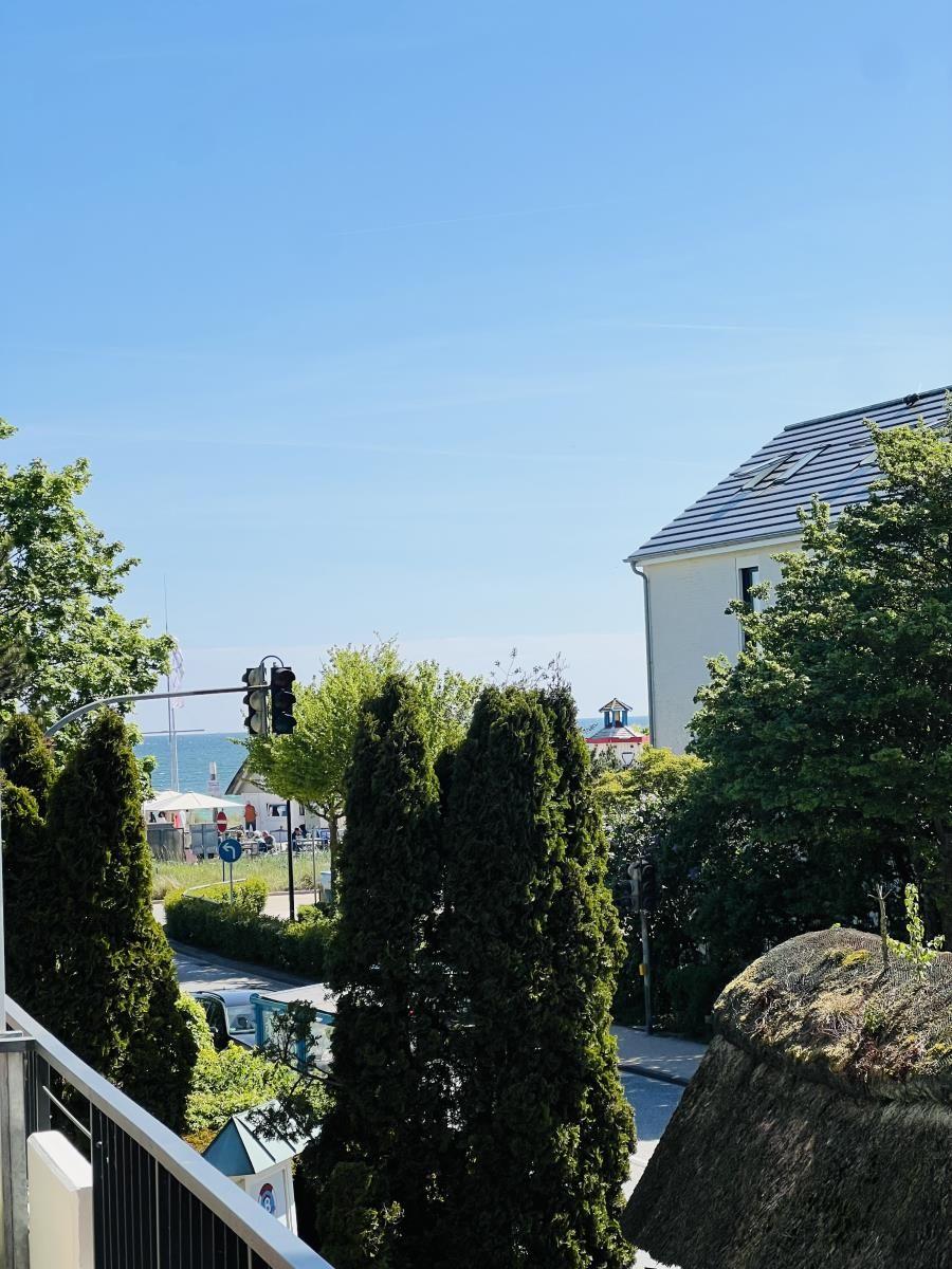 Blick auf den Strand mit Bäumen und einem Haus im Hintergrund.