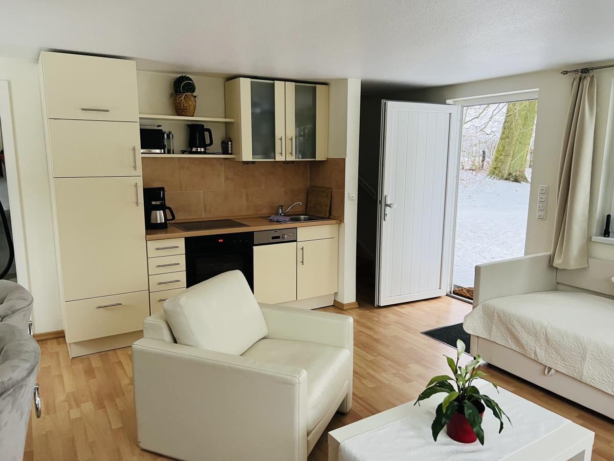 Wohnbereich mit Küche, Sitzgelegenheiten und Blick auf verschneite Landschaft.