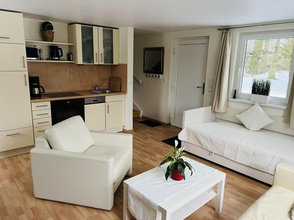 Wohnung mit Küche, Schlafsofa und Fenster mit Blick auf Schnee.