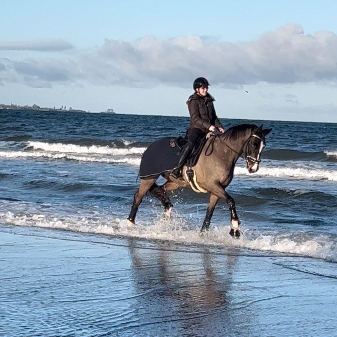 Eine Person reitet ein Pferd durch das Wasser am Strand.