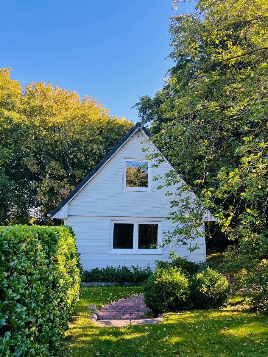 Weißes Haus mit Dachfenster, umgeben von Bäumen und Grünflächen.