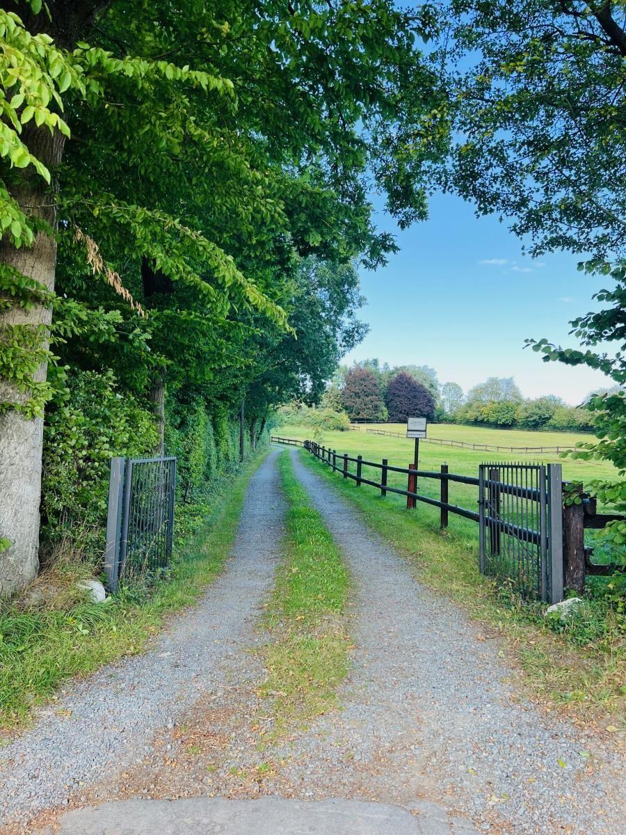 Gepflasterter Weg durch grüne Bäume zu einem Feld mit Zaun.
