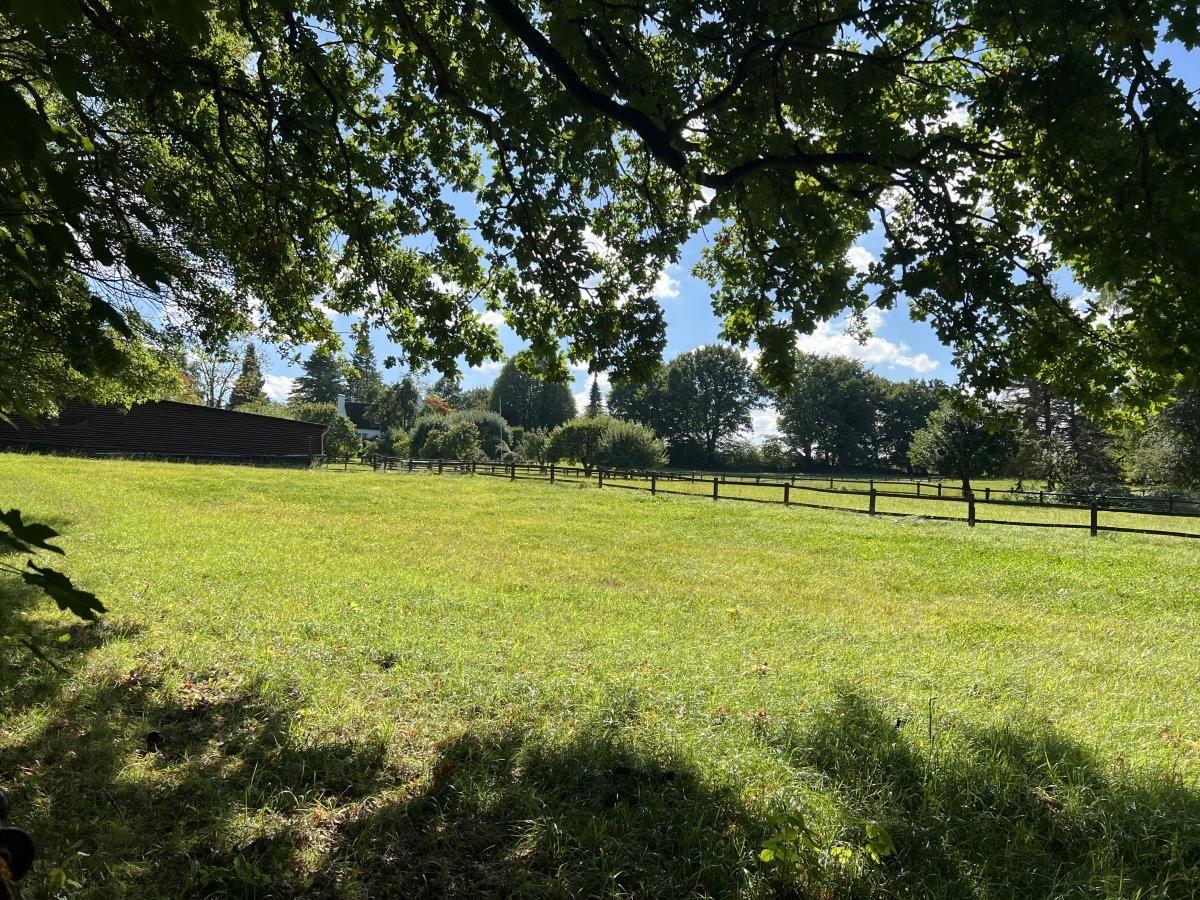 Grünes Feld unter Bäumen mit Holzzaun und Ferienhaus im Hintergrund.