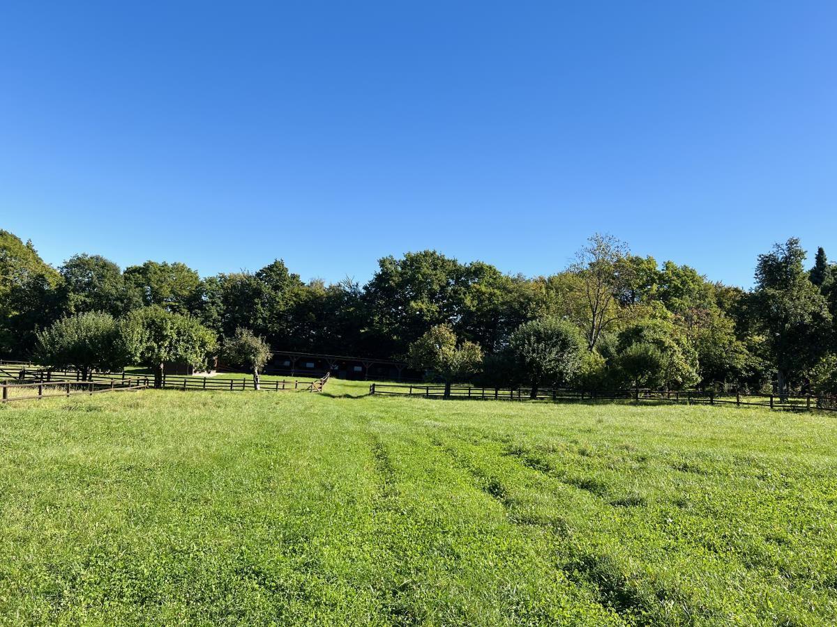 Grünes Feld mit Holzzaun und Wald im Hintergrund. Eine Hütte ist teilweise sichtbar.