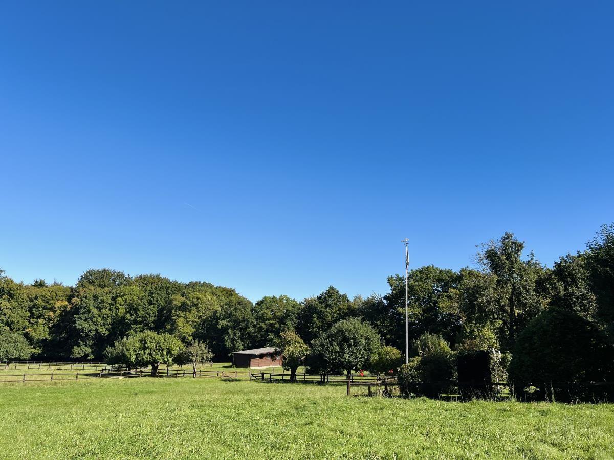 Grünes Feld mit Wald, kleinem Bauernhof und Wetterfahne unter blauem Himmel.