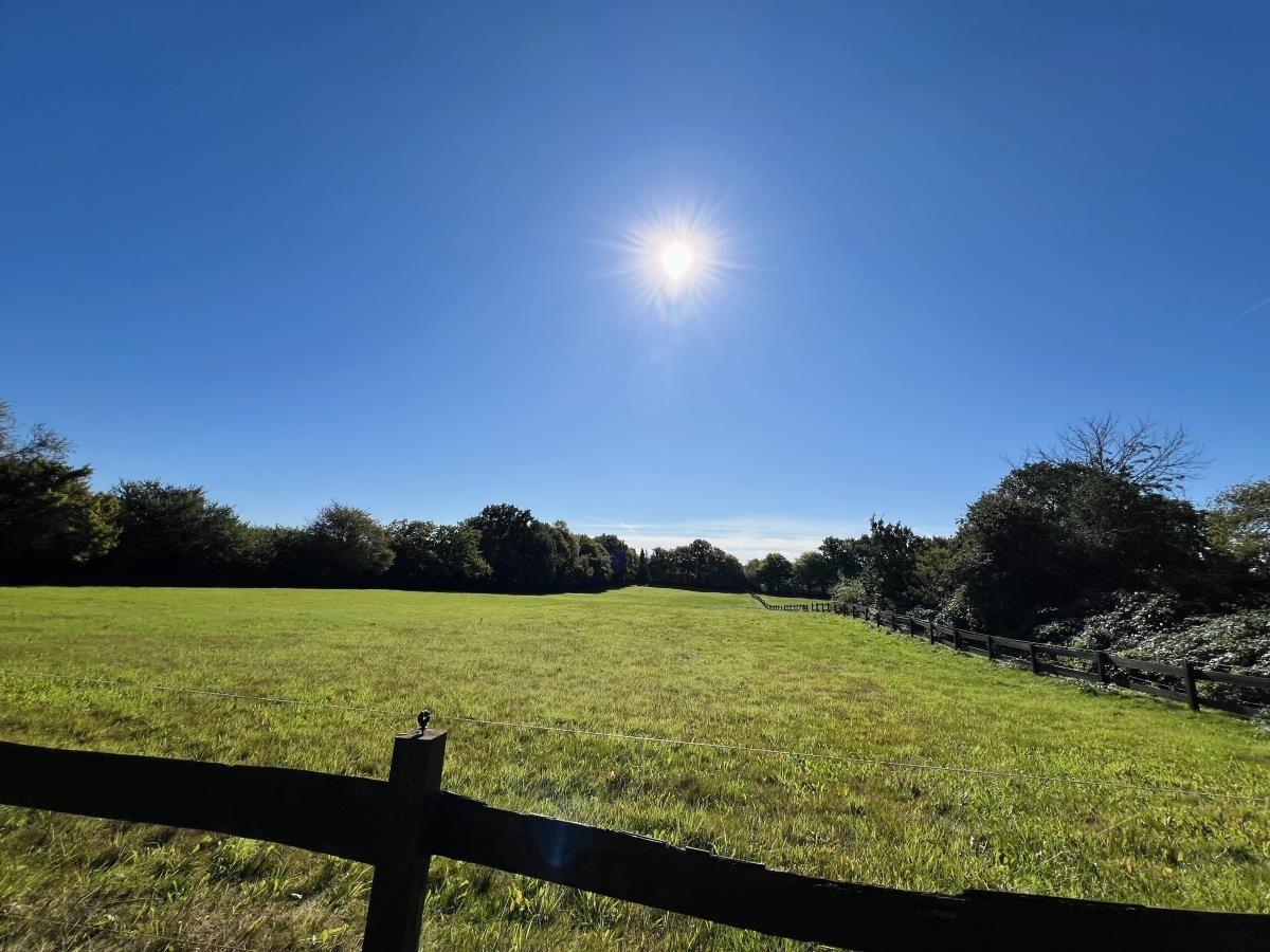 Sonniger Blick auf grünes Feld mit Zaun und Bäumen im Hintergrund.