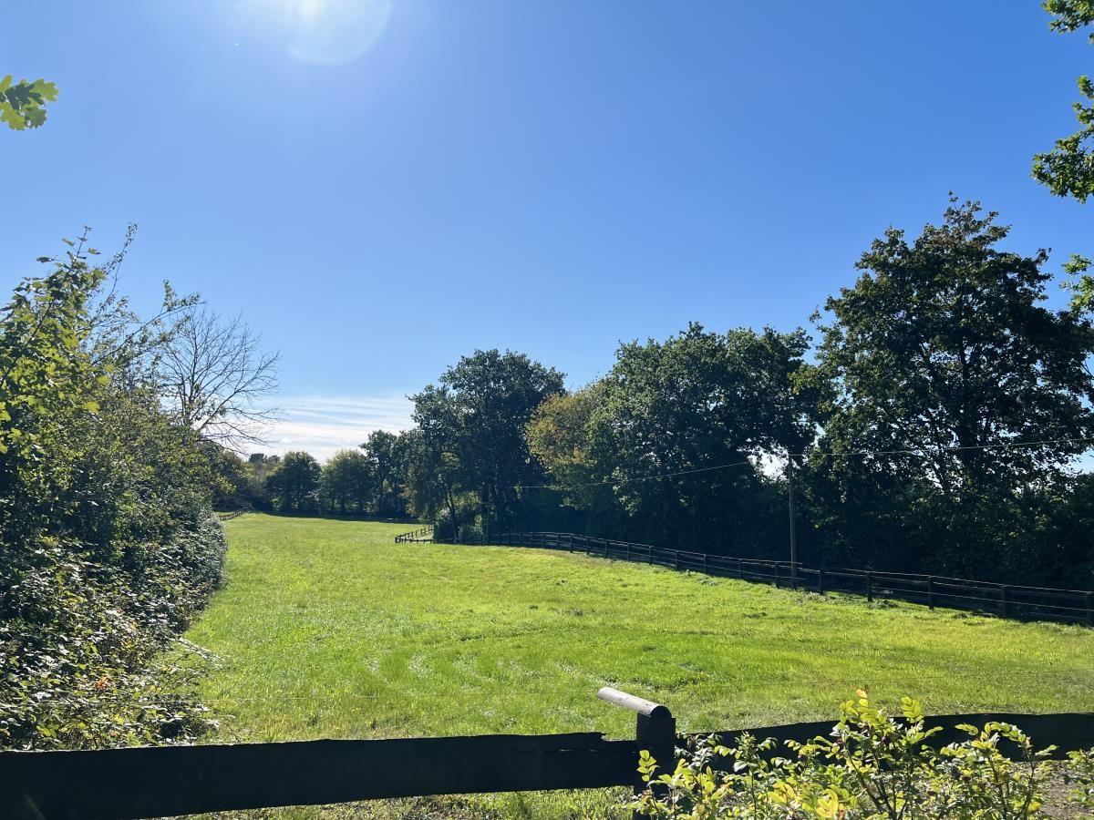 Grünflächen mit Zaun und Bäumen unter blauem Himmel.