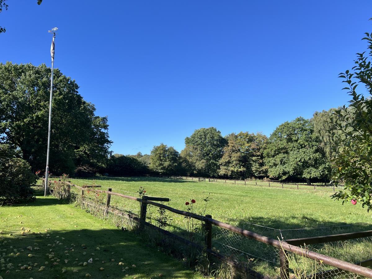 Grünes Feld mit Holzzäunen und Bäumen unter blauem Himmel.