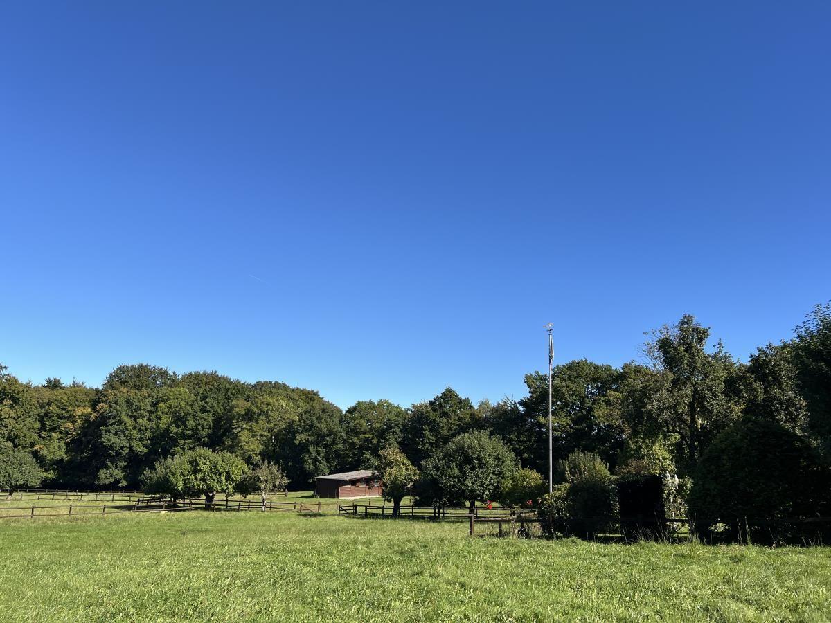 Grünes Feld mit Bäumen und kleinem Gebäude unter blauem Himmel.