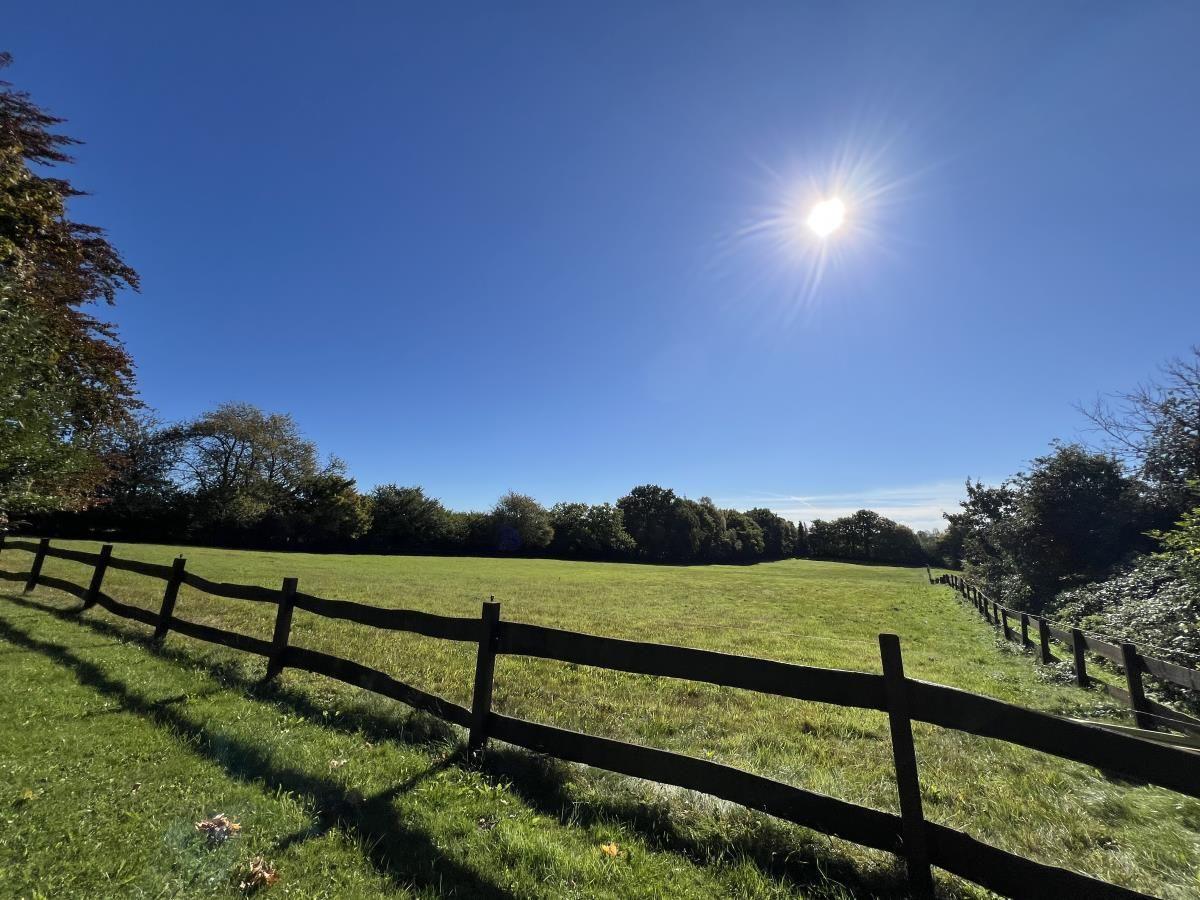 Weitläufiges Grünfeld mit Holzzaun und Bäumen unter strahlend blauem Himmel.