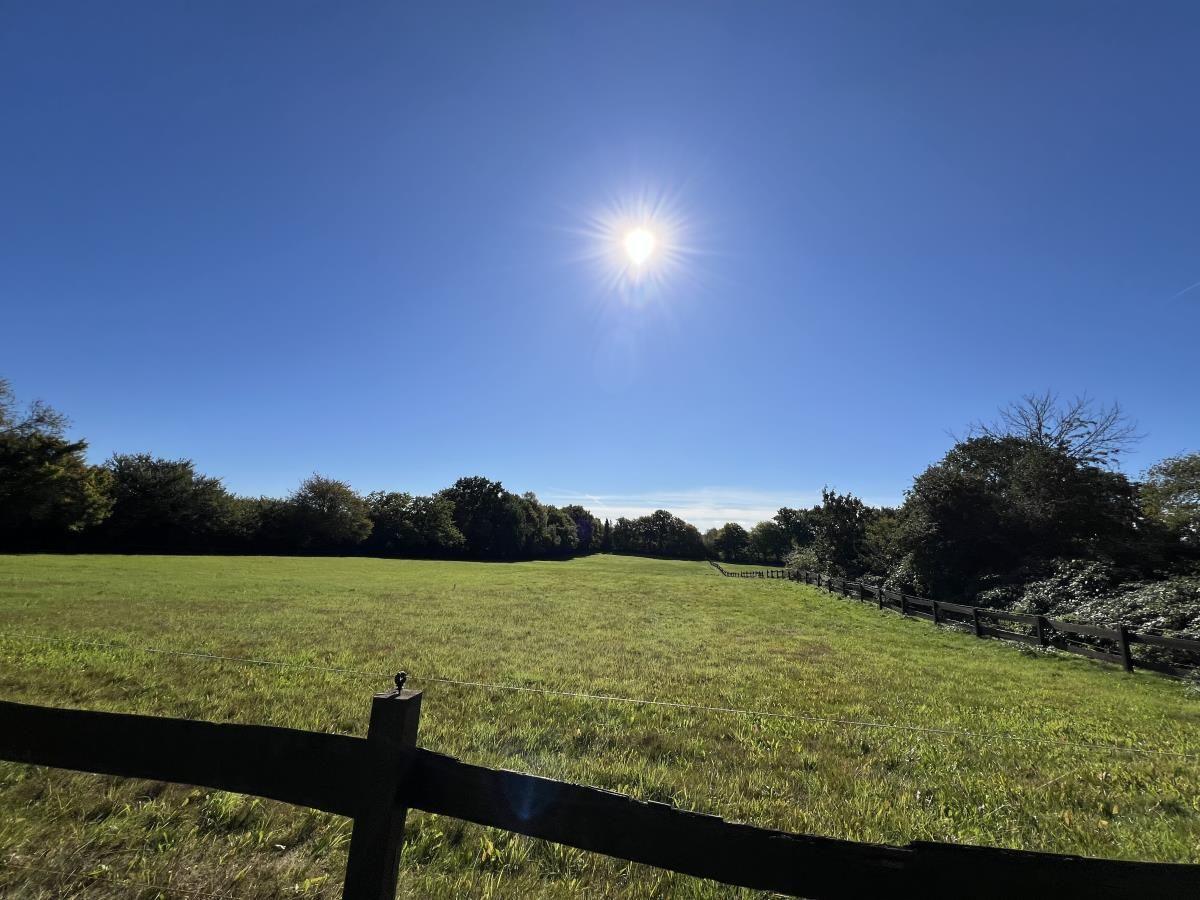 Weitläufiges Grasfeld mit Holzpfostenzaun und Bäumen unter blauem Himmel mit Sonne.