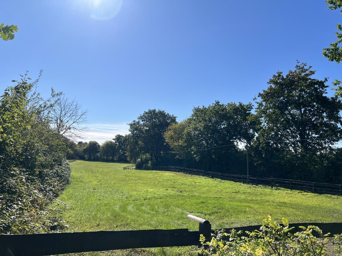 Grünes Feld mit Holzzaun und Bäumen unter blauem Himmel.