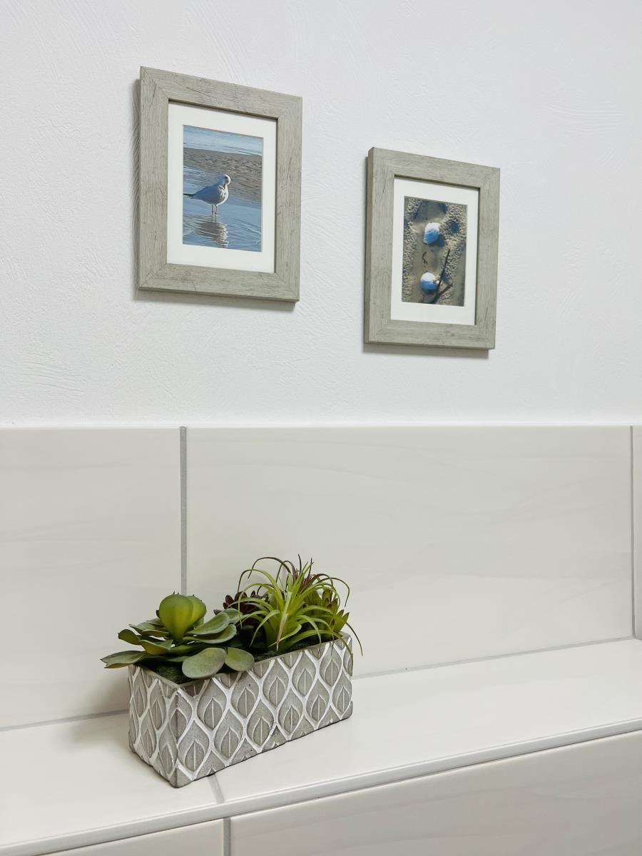 Wand mit zwei Bildern und Pflanze auf Waschtisch