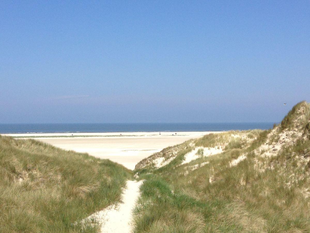 Weg zwischen Dünen führt zum Strand und Meer.