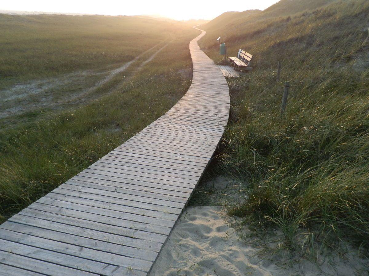 Holzweg durch Grasland mit Bank und Sandhügeln im Sonnenlicht.