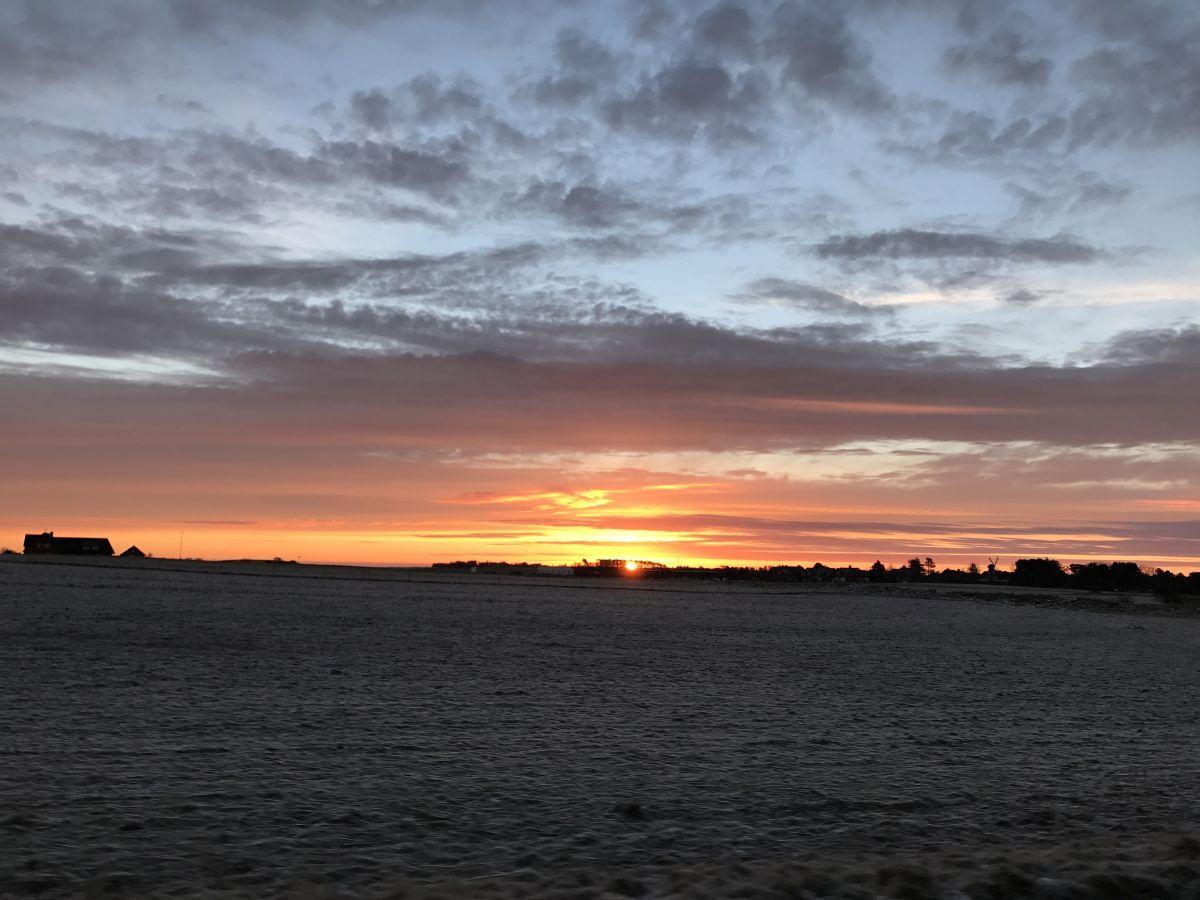 Sonnenuntergang über Felder mit Haus und Bäumen am Horizont.