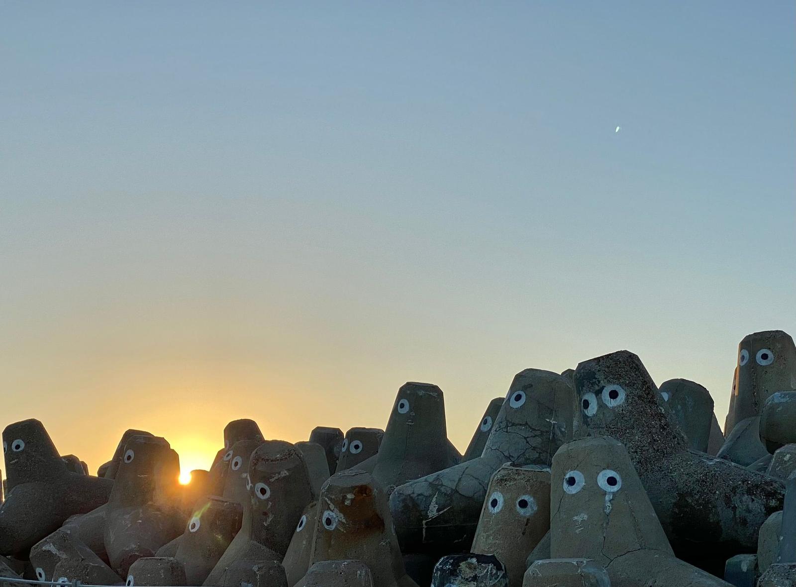 Tetrapoden "mit Blick"