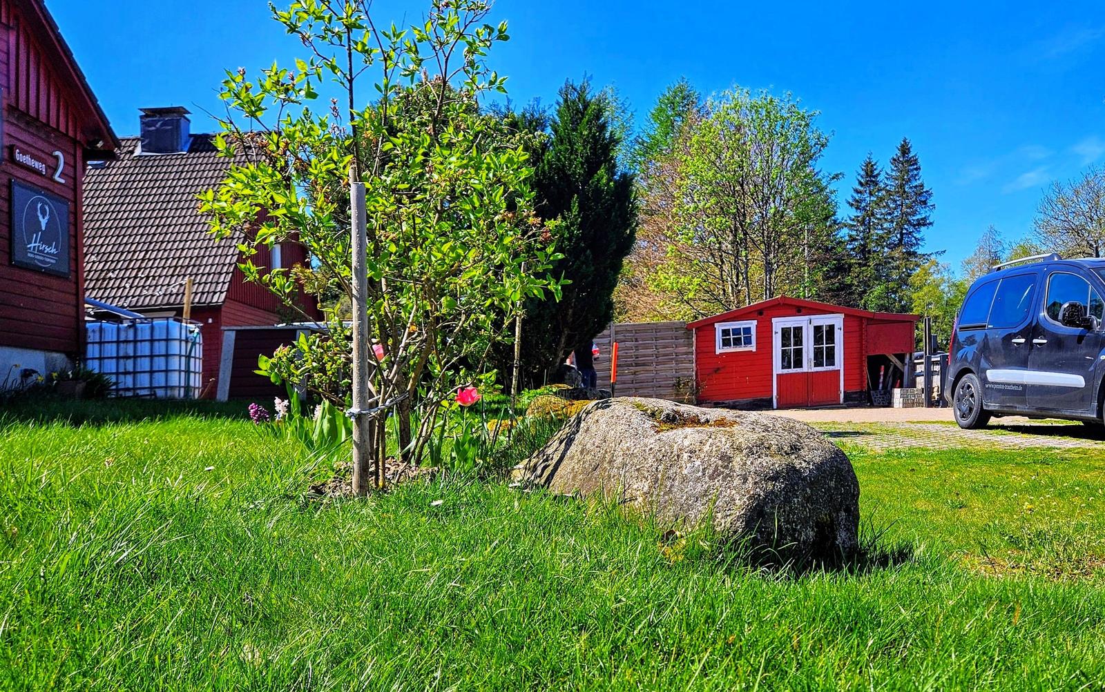 wo sich Luchs und Hase gute Nacht sagen