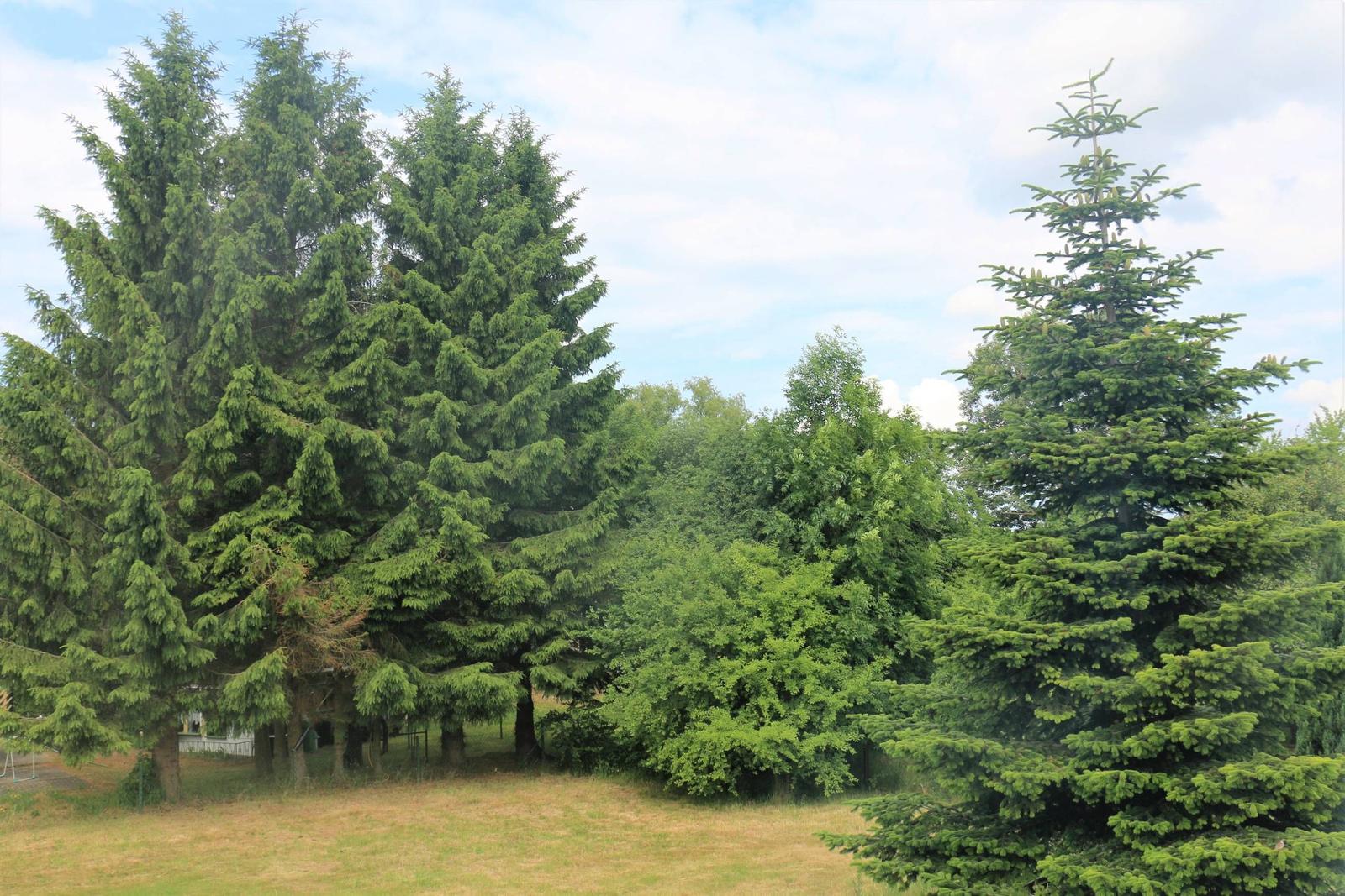 Blick aus dem WZ-Dachfenster