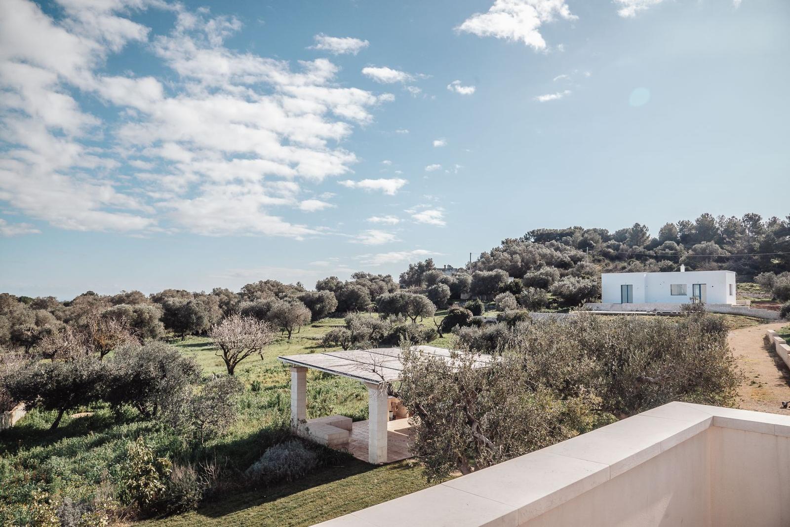 Weißes Haus in Olivenhain unter blauem Himmel mit Blick auf Hügel.