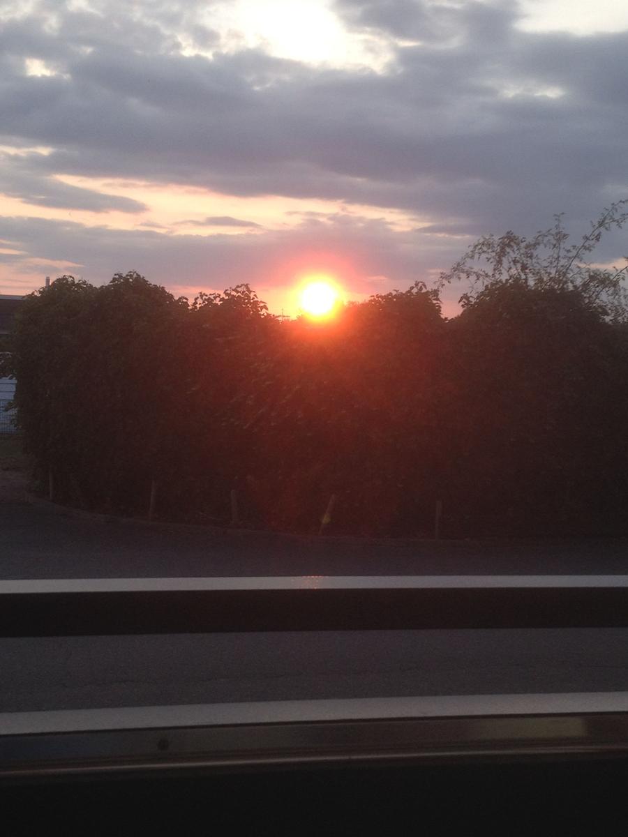 Sonnenuntergang hinter Bäumen, gesehen von einem Auto auf einer Straße.