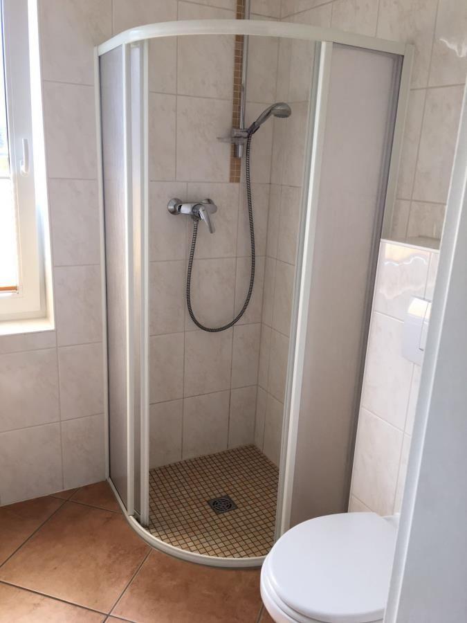 Dusche mit Duschbrause und Toilette in Badezimmer